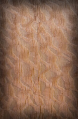 old wood with vignetting effect. an old board. old wood background, base, substrate, retro, vintage,
 . brown, red, gold, a place for a text or object,  frame, . the effect of aging, close-up.