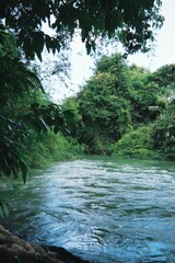 Naklejka premium A Serene River Meanders Through the Heart of a Vibrant, Untouched Tropical Jungle, Reflecting the Lush Green Canopy Above in its Tranquil Waters, a Pristine Natural Oasis.