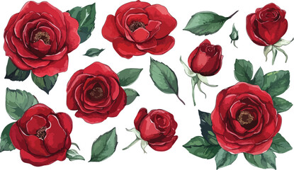 Cute cartoon smiling sunflower with green leaves and stem on a white background