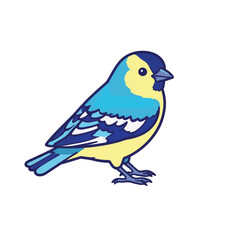 Obraz premium Vibrant blue goldfinch standing against a white background, nature's beauty