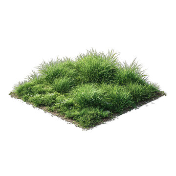 Isometric view of a patch of grass