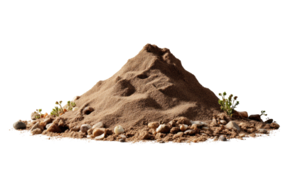 Dune and the Little Greeneries: A detailed shot of a sandy dune with few greenery, showing the natural beauty and environmental preservation.