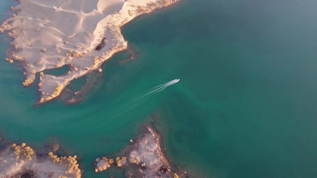 Drone view of high speed boat sailing in lake in desert with Populus euphratica forest with yellow golden foliage on sunny autumn day in Xinjiang, China, 4k real time footage.