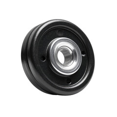 Close-up of a black circular bearing.  A metal bearing sits within a black plastic outer ring