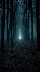Fototapeta premium Dark Forest Scene Illuminated by a Soft Light Shining Through Trees Creating an Enigmatic Atmosphere