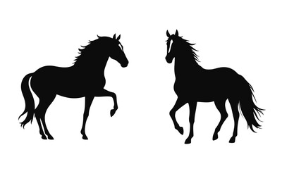 Silhouettes of horses on a white background, running at a trot, jumping, rearing. Vector illustration of black silhouettes of horses