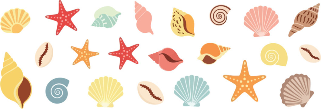 A collection of various seashells and starfish isolated on white background