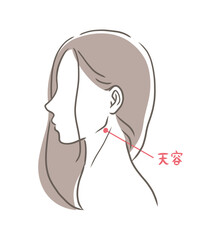 女性の横顔のバストアップイラスト素材