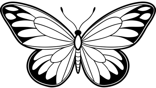 Elegant black and white butterfly illustration with symmetrical wings