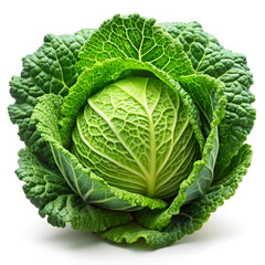 Obraz premium A fresh, textured head of savoy cabbage with ruffled green leaves, isolated on a white background
