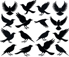 A collection of black bird silhouettes for graphic design