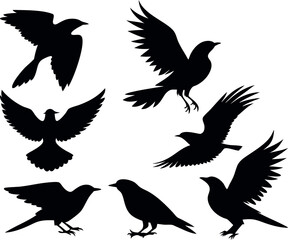 Obraz premium A collection of black bird silhouettes for graphic design