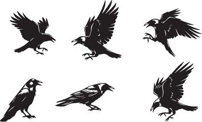 Obraz premium Collection of dynamic black crow silhouettes in various poses against a white background silhouette