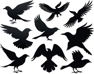 Obraz premium A collection of black bird silhouettes for graphic design