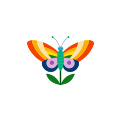 butterfly with rainbow wings on a wildflower