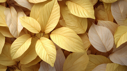 Fototapeta premium Pale yellow leaves background texture.