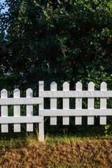 White picket fence and green bushes