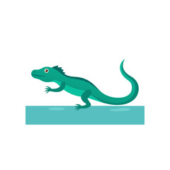Fototapeta premium basilisk lizard running across water surface