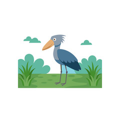 Fototapeta premium shoebill stork staring motionless in swamp