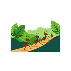 leafcutter ants carrying leaves along jungle trail
