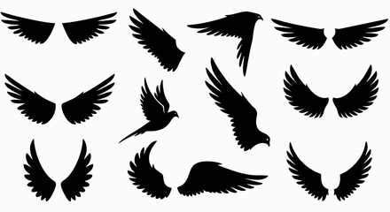 wings vector set
