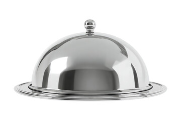 Obraz premium Shiny, round serving dome