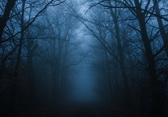 A dark and foggy forest path shrouded in mystery and deep blue hues