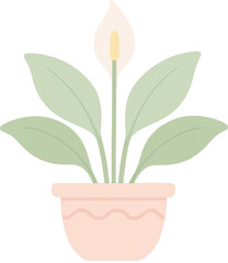 Flat design illustration of a blooming peace lily plant in a decorative pot