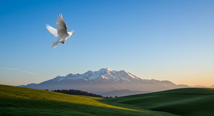 Naklejka premium White dove flying over scenic green hills