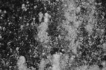grunge concrete wall texture background