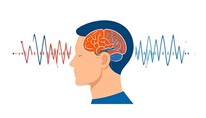 Brainwaves and human head