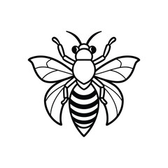Bee line art drawing, bumblebee line art, honey, bee line art