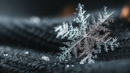 Intricate snowflake detail on dark background