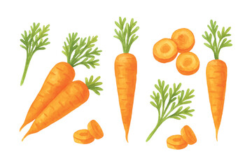 A set of hand-drawn watercolor carrots featuring whole, sliced, and leafy parts. Vibrant orange tones and soft textures give a fresh, organic, and artistic look on a white background.