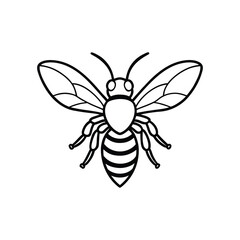 Bee line art drawing, bumblebee line art, honey, bee line art
