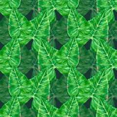 Tropical monstera leaves seamless pattern, hand drawn watercolor rainforest illustration isolated on dark background. Can be used for textile, fabric and other printed products.