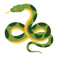 Fototapeta premium Python Snake, vector illustration on white background.
