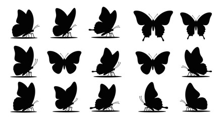 Butterfly Silhouettes: A collection of butterfly silhouettes showcase the graceful forms of these delicate insects, illustrating their varied postures and elegant profiles.