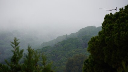 Dramatic Foggy Mountain Landscape – Moody Peaks in Dense Mist.