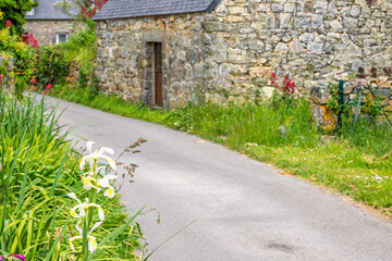 Flowering Iris flower by a road through an idyllic French village with old stone houses © Lars Johansson