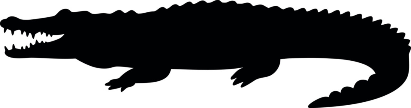 Black alligator silhouette open mouth fierce