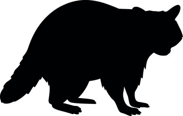 Black raccoon silhouette standing isolated on white background
