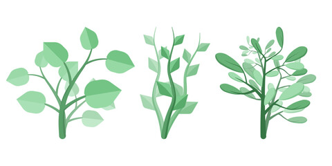 Set of three green trees and leaves. Botanical set of bare trees and lush green leafed trees. Flat design vector green plant elements.