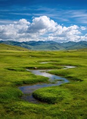 Fototapeta premium Meadow stream winding, mountains backdrop
