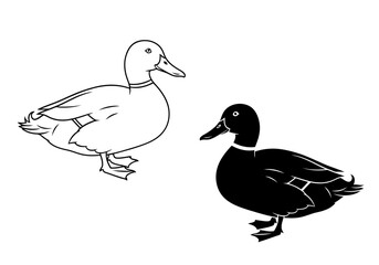 Obraz premium Vector art of outline and silhouette of a duck isolated on white background