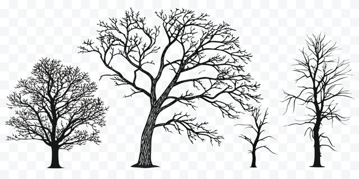 Silhouette of Bare Trees Set Against a Transparent Background for Versatile Design Projects and Ecological Illustrations