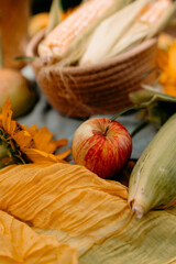 Autumn harvest composition with apples, corn, and sunflower, rustic seasonal still life.