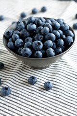 Raw Organic Blueberries in a Bowl, side view.