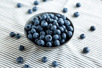 Raw Organic Blueberries in a Bowl, side view.
