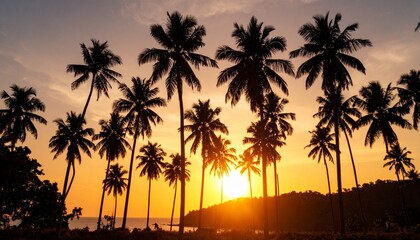 Obraz premium Tropical dusk alignment—sunset filters through a linear row of tall palm trees, casting elongated shadows and golden light across the horizon. The sky blends rich amber and orange hues with faint coas
